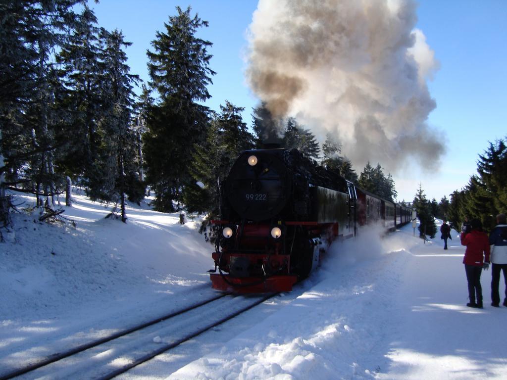 Kleiner Heinrich * Braunlage